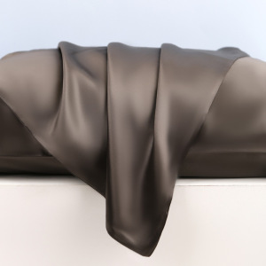 OEKO-TEX Standard 100% Natural Pure 22mm Zipper Silk Pillow Cover 